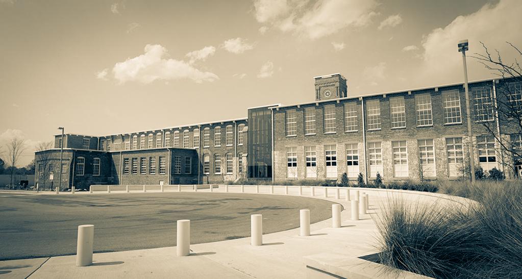 back of mill 2